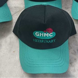 Promotional Caps