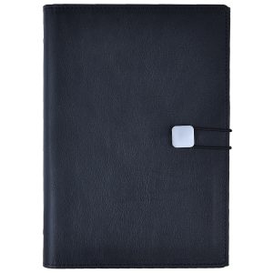 SENATE Executive Organizer Diary