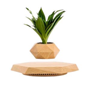 Levitating Rotating & Floating Plant Holder
