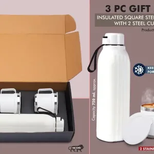 Insulated Hexa Steel bottle