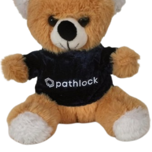 Teddy with Customized Logo Tshirt