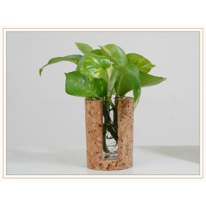 CORK CYLINDRICAL TEST TUBE PLANTERPLANTER