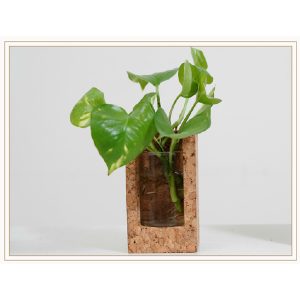 TEST TUBE PLANTER 3