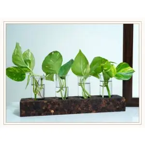 4 HOLE TEST TUBE PLANTER