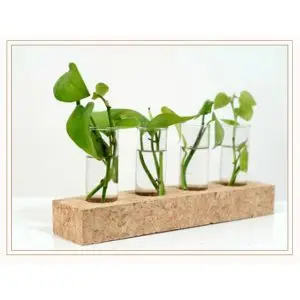 4 HOLE TEST TUBE PLANTER NATURAL
