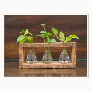 3 BEAKER PLANTER