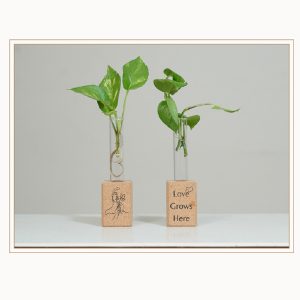 SMALL FRIDGE MAGNET PLANTER