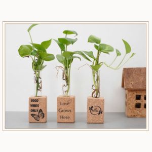 Test Tube Planters