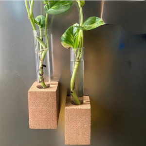 Cork Magnetic Planter (Set of 2)