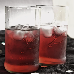 Kingfisher glasses (Set of 2)