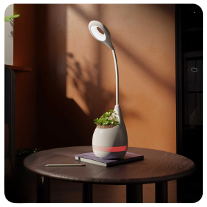Table Lamp with Plant Pot Holder