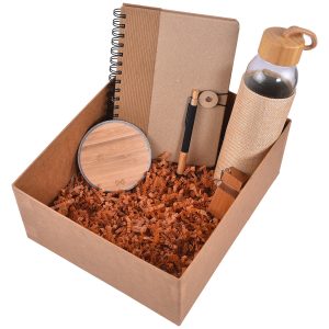 Eco iCharge Giftset